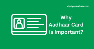 Read more about the article Why Aadhaar Card is Important? What are the mandatory uses and how it can be misused?